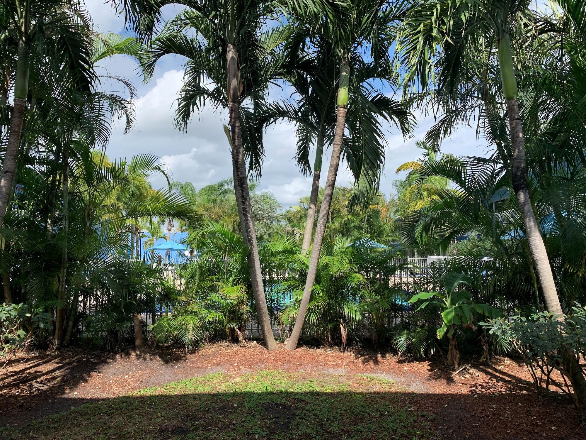 Rodeway Inn & Suites Fort Lauderdale Airport & Cruise Port Dania Beach Luaran gambar